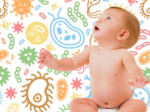 The Importance of a Good Probiotic During Pregnancy