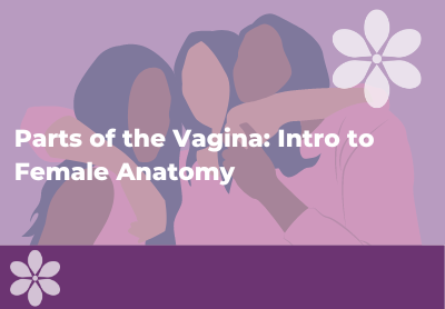 Parts of Vagina & Female Anatomy