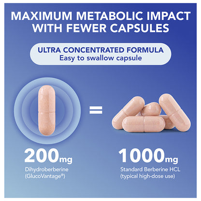 Dihydroberberine with GlucoVantage®