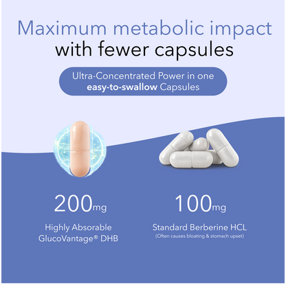 Dihydroberberine with GlucoVantage ®