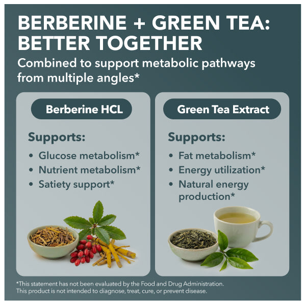 Berberine HCL Supplement + Green Tea Extract 90 Capsules 165mg Intimate Rose Berberine HCL Supplement + Green Tea Extract 90 Capsules 165mg Intimate Rose
