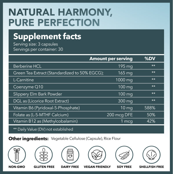 berberine l carnitine supplement Sports Research Berberine With Coconut Oil, 500 mg, 90 Softgels : Target main image 1