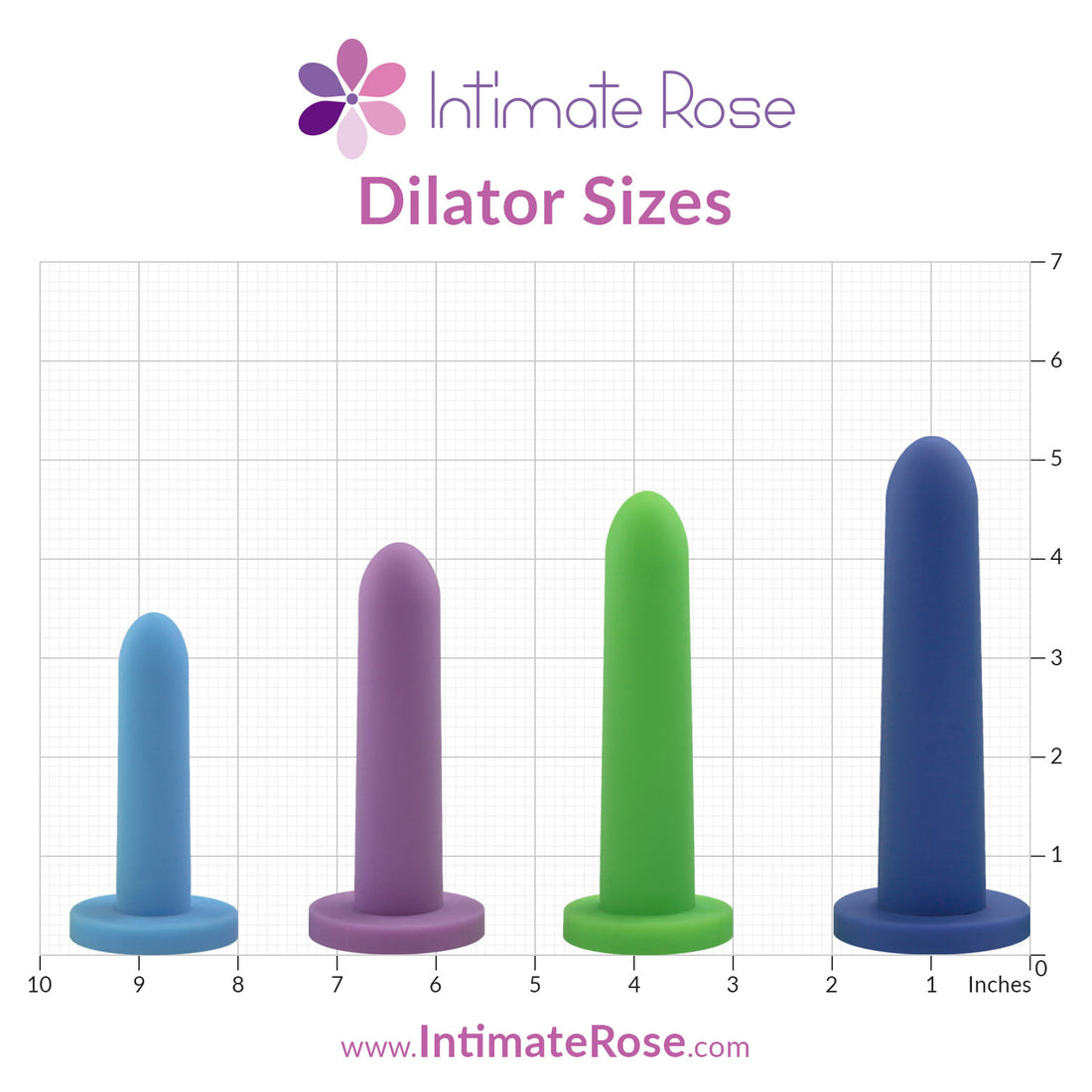Medium Dilators, Handle and Lubricant Bundle | Intimate Rose