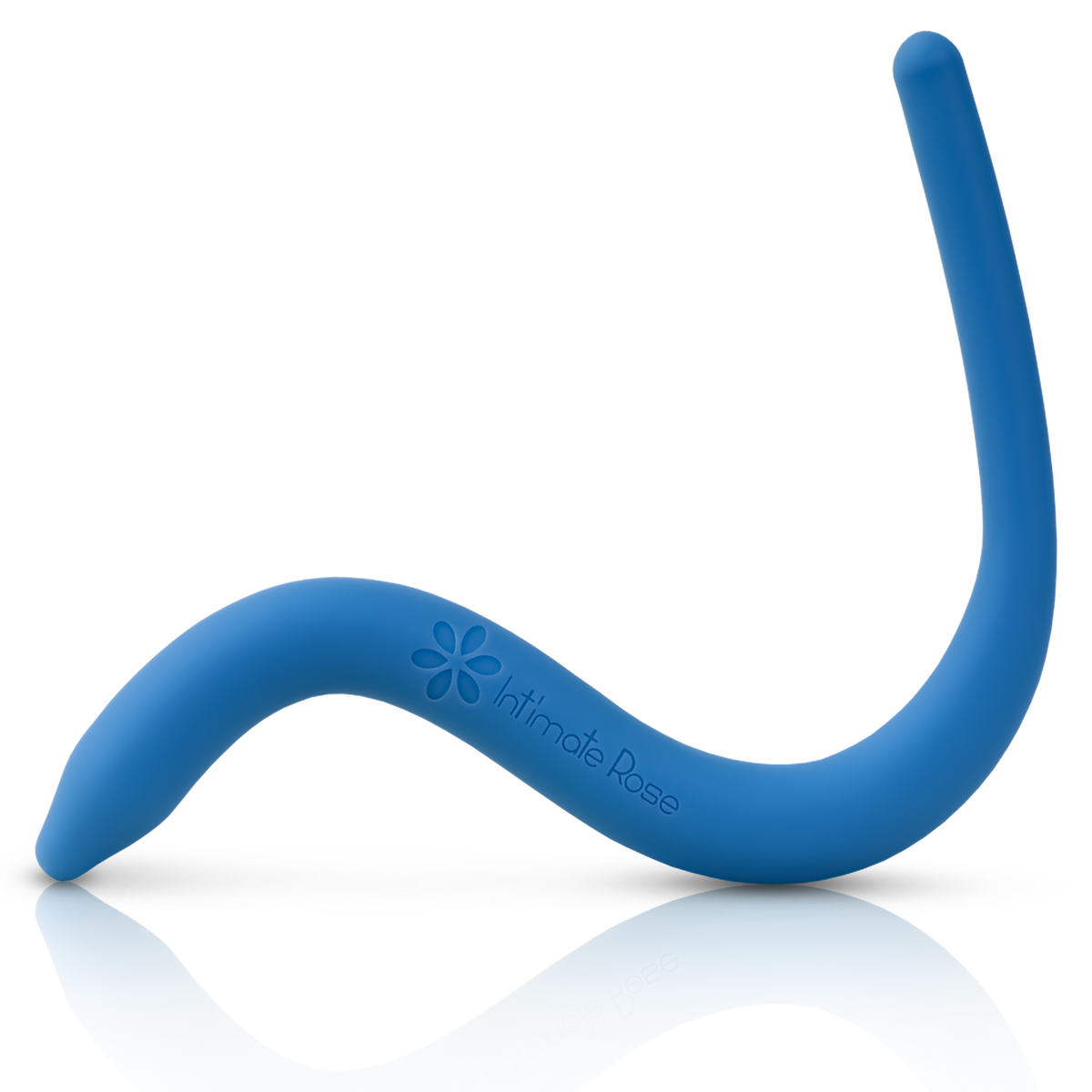 Massage Wand (Blue)